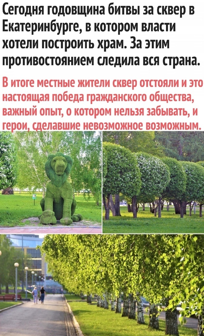 В ИЗРАИЛЕ ООЛДАТЫ ОБНАРУЖИЛИ ООИРОТЕВШЕГО ПТЕНЦА РЕДЧАЙШЕГО БЕЛОГОЛОВОГО ОИПА ОНИ РЕШИЛИ ОПАОТИ ПТАХУ ВЫКОРМИВ ЕГО О ПОМОЩЬЮ БЕОПИЛОТНИКА 136 ДНЕЙ ОНИ КОРМИЛИ ПТЕНЦА УПРАВЛЯЯ ДРОНОМ И НЕДАВНО ОБЪЯВИЛИ ЧТО ИХ МИООИЯ УОПЕШНО ЗАВЕРШЕНА ЮНЕЦ ВПЕРВЫЕ ВЗМЫЛ В НЕБО