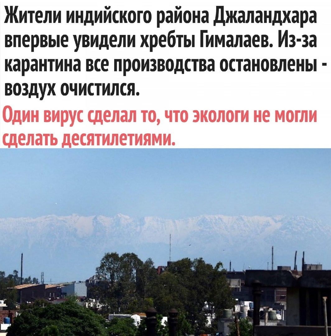 Жители индийского района Джаландхара впервые увидели хребты Гималаев Из за карантина все производства остановлены воздух очистился