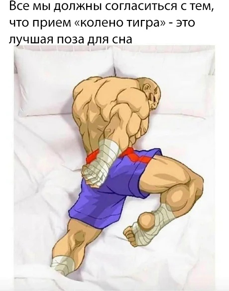 Все МЫ дОЛЖНЫ СОГПаСИТЬСЯ С тем ЧТО прием колено Тигра ЭТО лучшая ПОЗд ДЛЯ сна