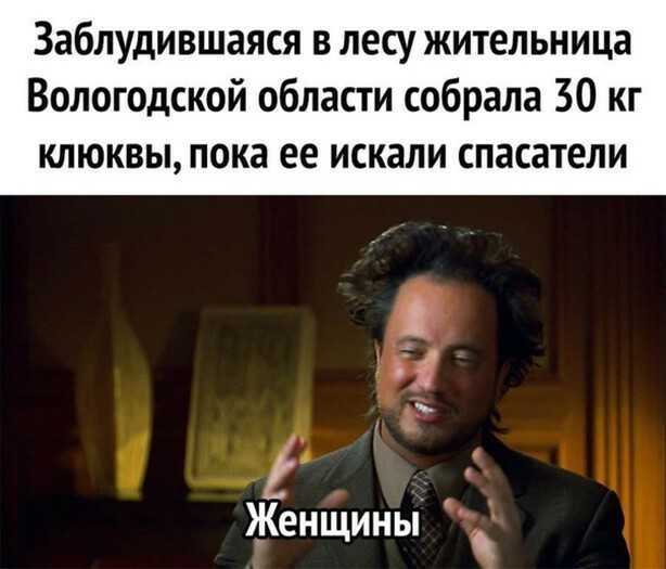 Заблудившаяся в лесу жительница Вологодской области собрала 30 кг клюквы пока ее искали спасатели Женщины