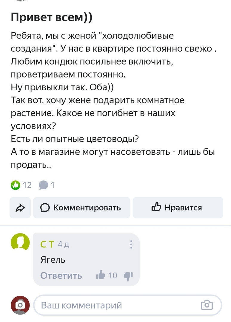 Привет всем Ребята мыс женой холодолюбивые создания У нас в квартире постоянно свежо Любимкондюкпосильнеевключиты проветриваем постоянно Ну привыкли так Оба Таквопхочукенеподаритькомнатное растениеКакоенепогибнетвнаших условиях Есть ли опытные цветоводы А то в магазине могут насоветовать лишь бы продать 012 1 О Комментировать Ь Нравится О С Т 4 д Ягель Ответить 10 Ваш комментарий