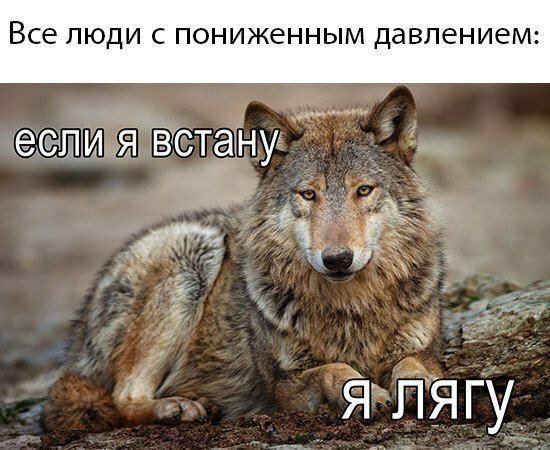Все ЛЮДИ С ПОНИЖЭННЫМ ДЭВЛЕНИЭМ