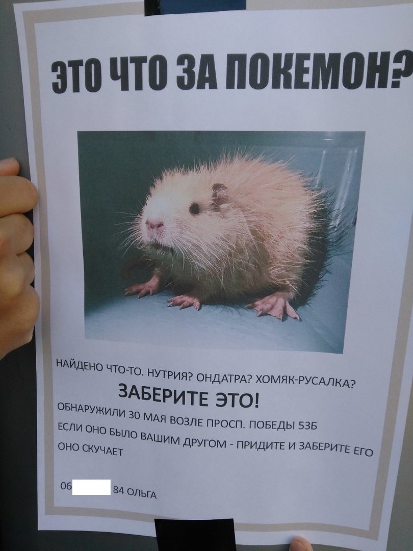 310 что ЗА ППНЕМПН 7 НАИдЕНО ЧТОТО НУТРИЯ ОНДАТРА ХОМЯК РУСАЛКА ЗАБЕРИТЕ этод ОБНАРУЖИЛИ 30 МАЯ ВОЗЛЕ прош ПОБЕДЫ 535 ЕСЛИ оно выде ВА ШИМ дРУГОМ ПРИДИТЕ И ЗАВЕРИТЕ ЕГО ОНО СКУЧАЕт ов 84 ОПЬгА