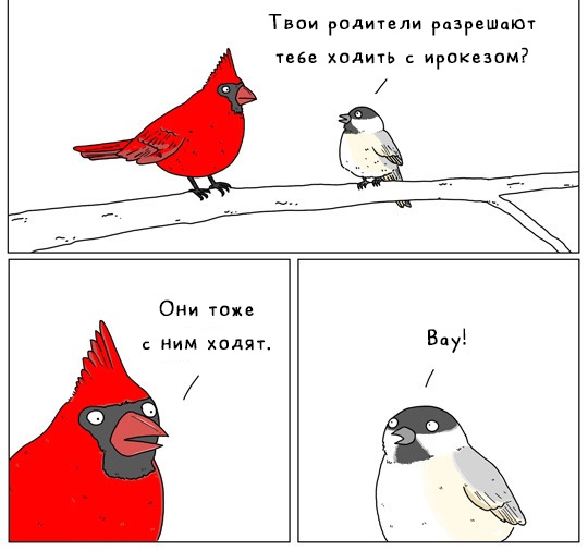 Твои родитвли разрешают пве хпдить ирокезам Они тоже с ним ходят Вау