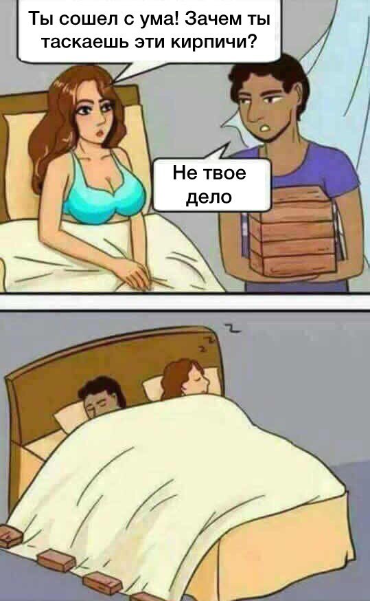 Ты сошел с ума Зачем ты таскаешь эти кирпичи