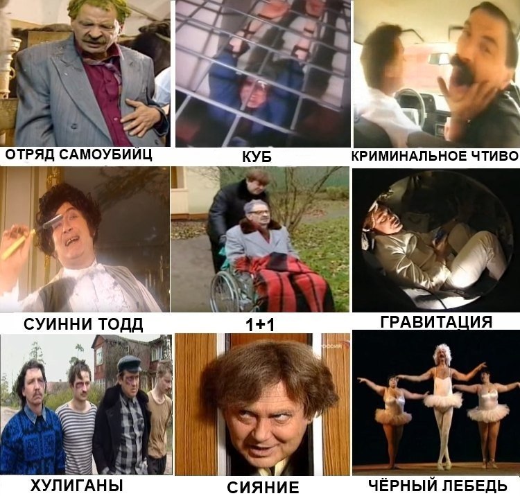 СИЯНИЕ ЧЁРНЫЙ ЛЕБЕДЬ