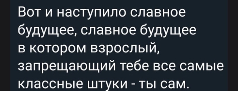 Вот и наступило славное будущее славное будущее в котором взрослый запрещающий тебе все самые классные штуки ты сам