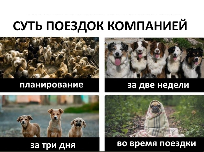 за три дня ВО ВРЕМЯ ПОЕЗДКИ