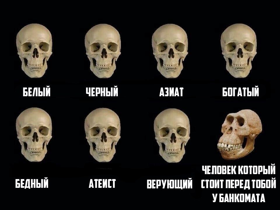 ёёёё БЕЛЫЙ ЧЕРНЫЙ МИМ БПГМЫЙ _ ЧЕЛПВЕК КШПРЫЙ БЕДНЬШ МПП ВЕРУШЩИЙ ПШ ПЕРЕД ШЕПЙ У ЕАНКПМПА