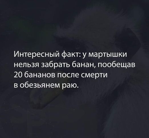 Интересный факт у мартышки нельзя забрать банан пообещав 20 бананов после смерти в обезьянем раю