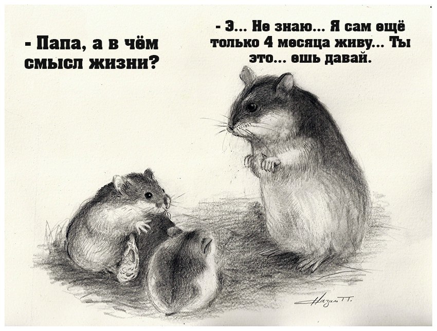 З Не знаю я сам ещё Папа а в чём только 4 месяца живу ы смысл жизни давай