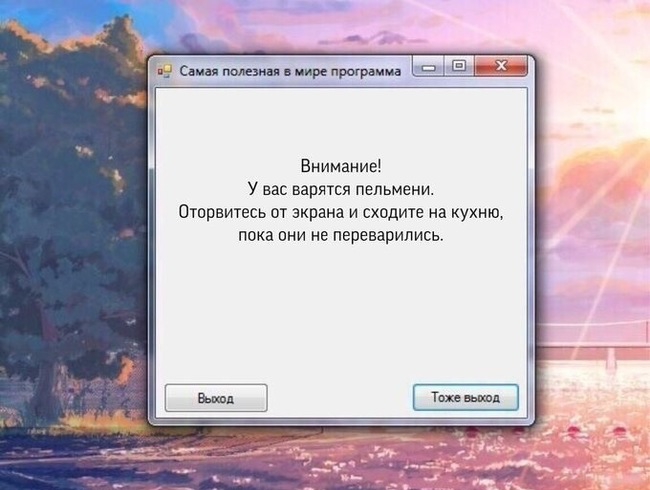 Внимание У вас варятся пельмени Оторвитесь от экрана и сходите на кухню пока они не переварипись