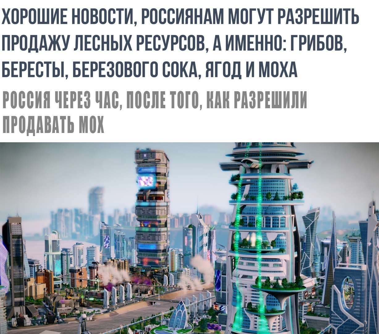 ХОРОШИЕ НОВОСТИ РОССИЯНАМ МОГУТ РАЗРЕШИТЬ ПРОДАЖУ ЛЕСНЫХ РЕСУРСОВ А ИМЕННО ГРИБОВ БЕРЕСТЫ БЕРЕЗОВОГО СОКА ЯГОД И МОХА РОССИЯ ЧЕРЕЗ ЧАС ПОСЛЕ ТОГО НАН РАЗРЕШИПИ ПРОДПВМЬ МОК А 44 ч и _ 55 Г 4 у