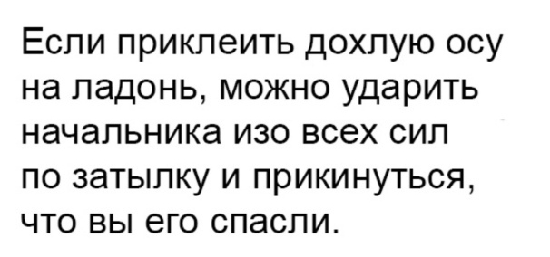 Если приклеить дохлую осу на ладонь можно ударить начальника изо всех сил по затылку и прикинуться что вы его спасли