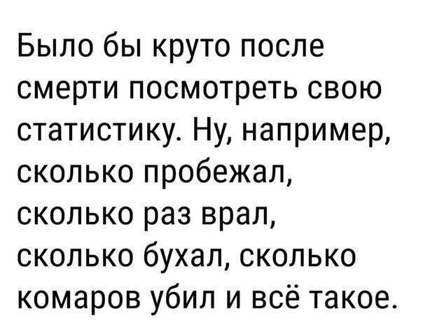 Было бы круто после смерти посмотреть свою статистику Ну например сколько пробежал сколько раз врал сколько бухал сколько комаров убил и всё такое