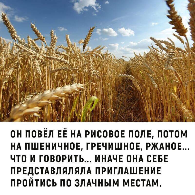 он повёл ЕЁ нд рисовое полн потом нд пшвничнов гречишнов ржднов что и говорить индчв онд СЕБЕ ПРЕДСТАВЛЯЛЯЛА приглдшвнив пройтись по злдчным МЕСТАМ