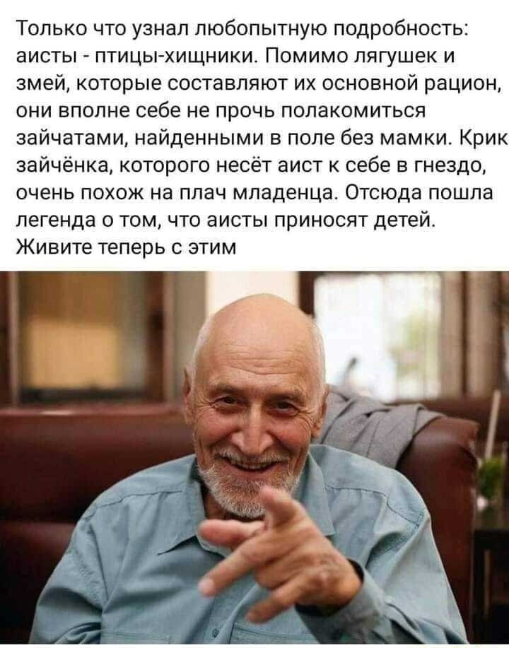 Только что узнал любопытную подробност аисты птицыхищники Помимо лягушек и змей которые составляют их основной рацион они вполне себе не прочь полакомиться зайчатами найденными в поле без мамки Крик зайчёнка которого несёт аист к себе в гнездо очень похож на плач младенца Отсюда пошла легенда о том что аисты приносят детей Живите теперь с этим