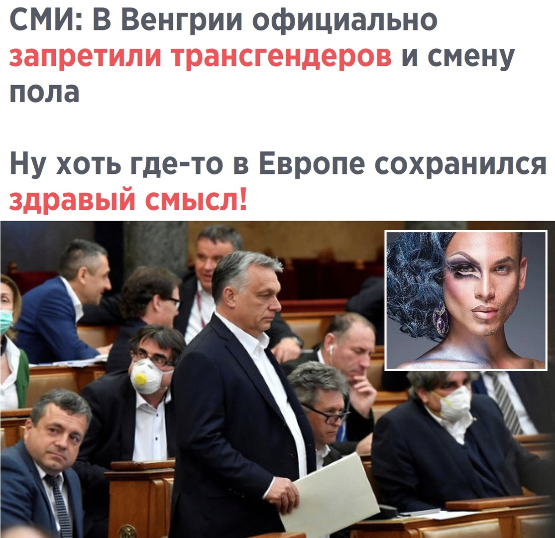 СМИ В Венгрии официально запретили трансгендеров и смену пола Ну хоть где то в Европе сохранился здравый смысл