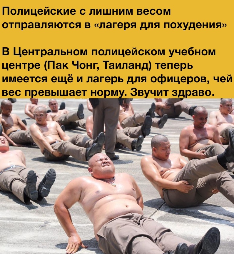 Полицейские с лишним весом отправляются в лагеря для похудения В Центральном полицейском учебном центре Пак Чонг Таиланд теперь имеется ещё и лагерь для офицеров чей вес превышает норму Звучілт здраво