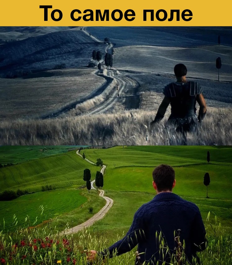 То самое поле