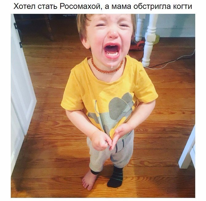 Хотел стать Росомахой а мама обстригпа когти