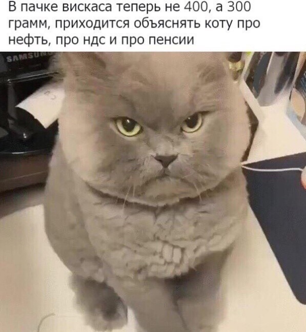 В пачке вискаса теперь не 400 а 300 грамм приходится объяснять коту про нефть про ндс и про пенсии