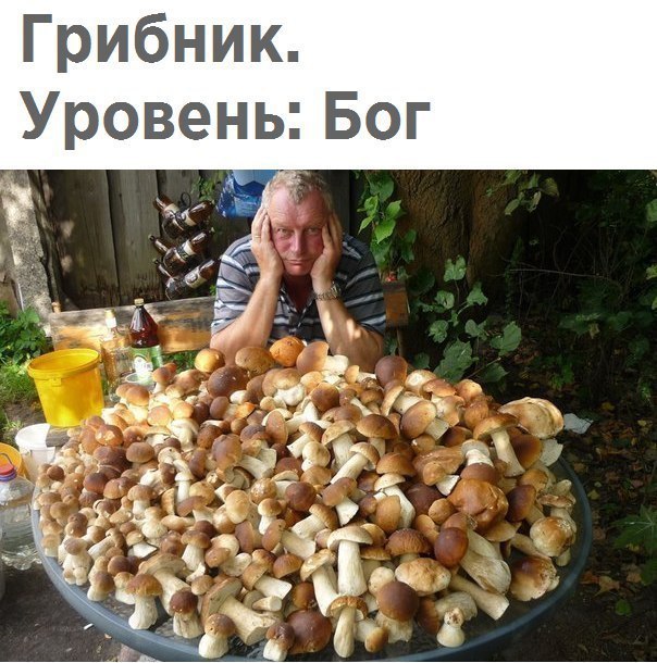 Грибник Уровены