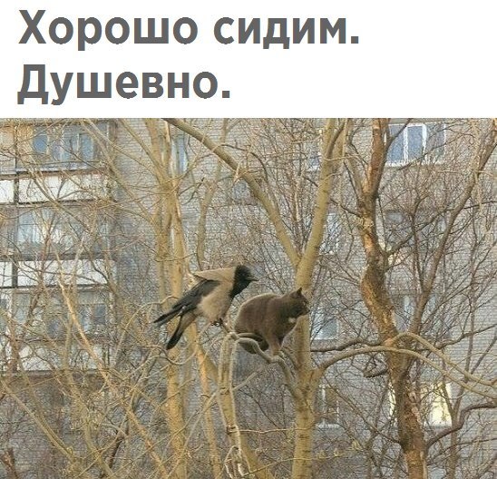 Хорошо сидим Душевно