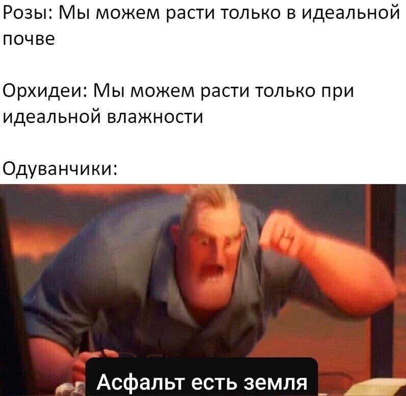 РОЗЫ МЫ МОЖЕМ расти ТОЛЬКО В идеальной ПОЧВЕ Орхидеи Мы можем расти только при идеал ЬНОЙ ВЛЭЖНОСТИ Одуванчики Асфальт есть земля _