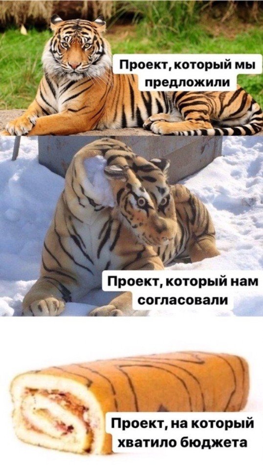 Проект на который хватило бюджета