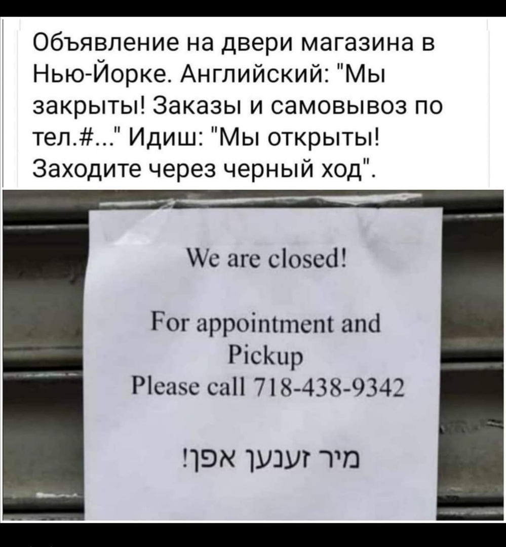 Объявление на двери магазина в Нью Йорке Английский Мы закрыты Заказы и самовывоз по тел Идиш Мы открыты Заходите через черный ход Ас аге сіозесі Рог арроіттет апа Рісішр Рісазс саН 718438 9342 пвх тии то