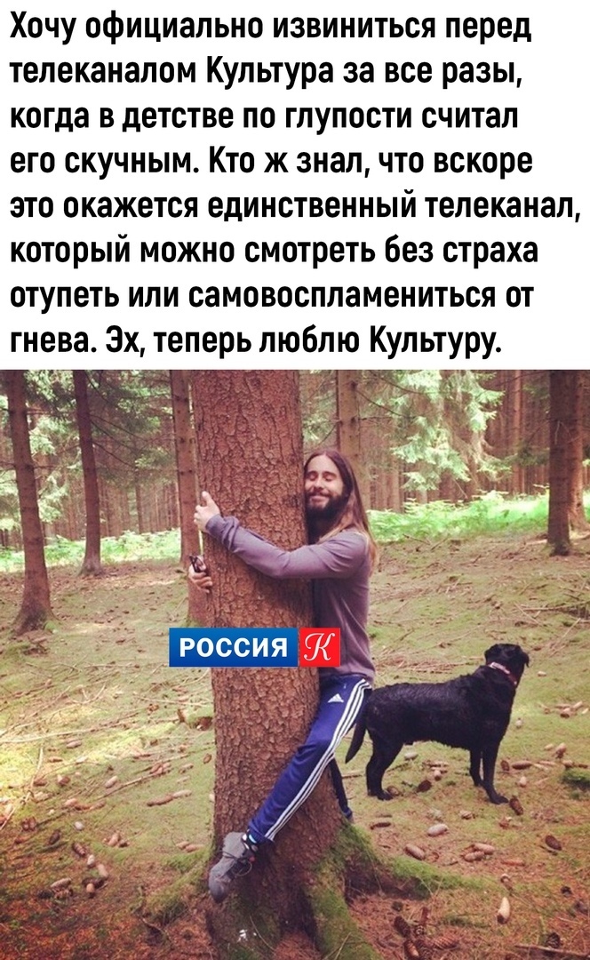 Хочу официально извиниться перед телеканалом Культура за все разы когда в детстве по глупости считал его скучным Кто ж знал что вскоре это окажется единственный телеканал который можно смотреть без страха отупеть или самовоспламениться от гнева Эх теперь люблю Культуру