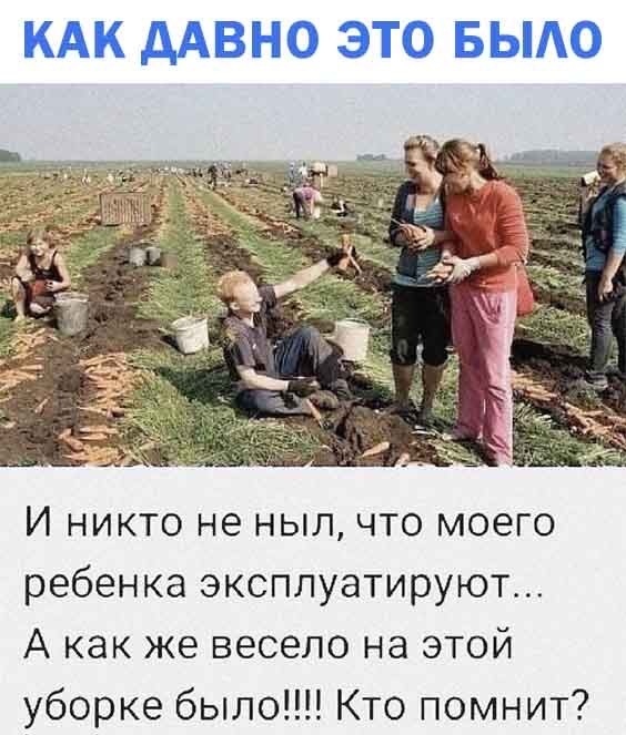 КАК ААВНО ЭТО БЫАО И НИКТО не НЫЛ ЧТО МОЗГО ребенка эксплуатируют А как же весело на этой уборке было Кто помнит