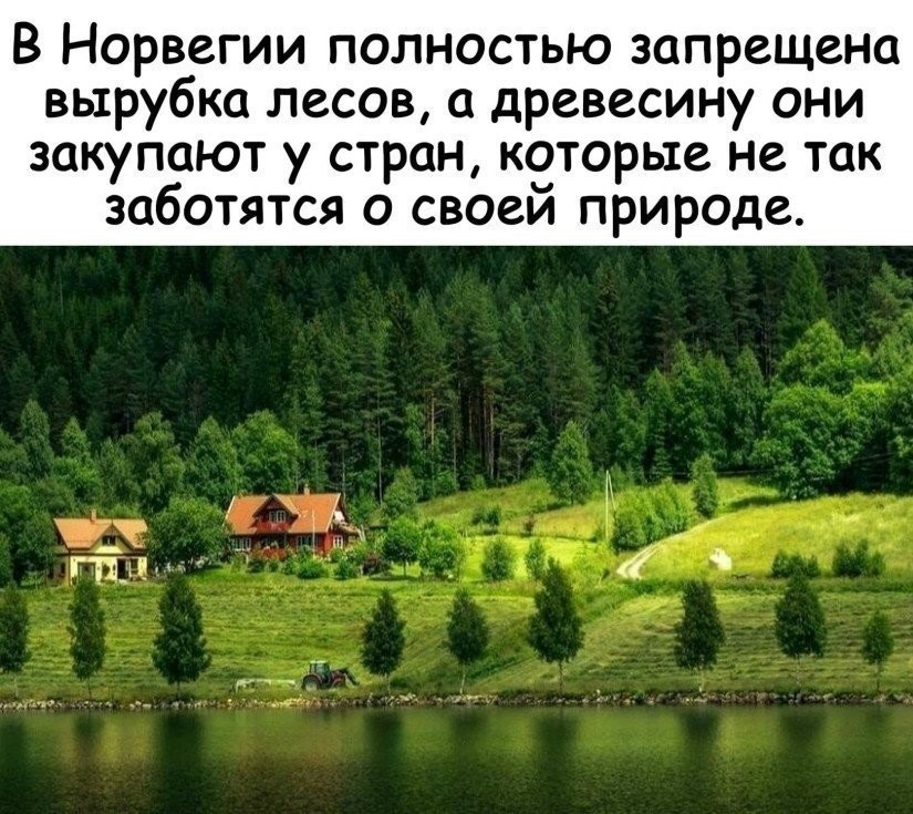 В Норвегии полностью запрещена вырубка лесов древесину они закупают у стран которые не так заботятся о своеи природе ГЁЛМ