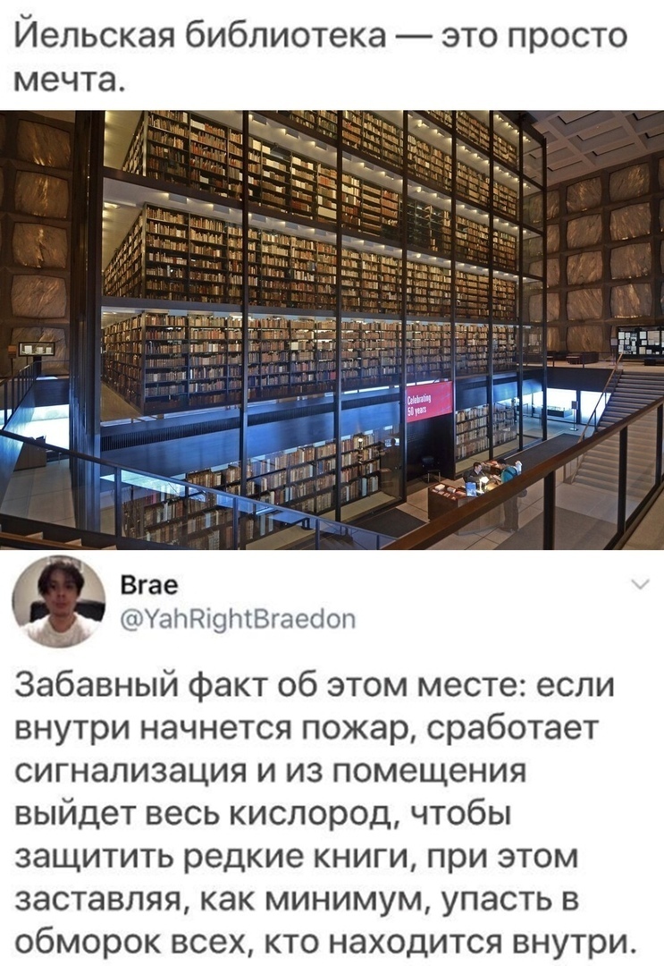 Йельская библиотека это просто мечта УаітдгфіВгаесіоп Забавный факт об этом месте если внутри начнется пожар сработает сигнализация и из помещения выйдет весь кислород чтобы защитить редкие книги при этом заставляя как минимум упасть в обморок всех кто находится внутри