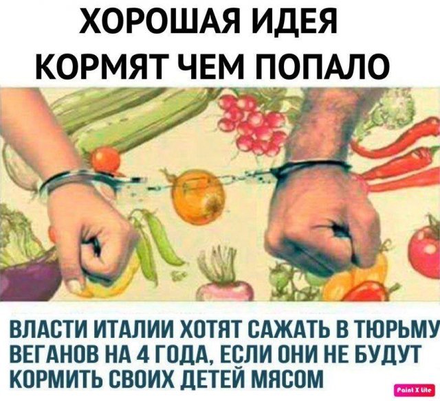 ХОРОШАЯ ИДЕЯ КОРМЯТ ЧЕМЛОПАЛО ВЛАСТИ ИТАЛИИ ХОТЯТ САЖАТЬ В ТЮРЬМУ ВЕГАНОВ НА 4 ГОДА ЕСЛИ ОНИ НЕ БУДУТ КОРМИТЬ СВОИХ ЛЕТЕИ МЯСОМ