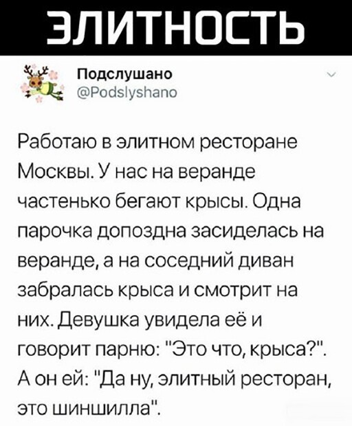 ЗЛИТНОСТЬ Зі Работаю в элитном ресторане Москвы У нас на веранде частенько бегают крысы Одна парочка допоздна засиделась на веранде а на соседний диван забралась крыса и смотрит на них Девушка увидела её и говорит парню Это что крыша А он ей Да ну элитный ресторан это шиншилла