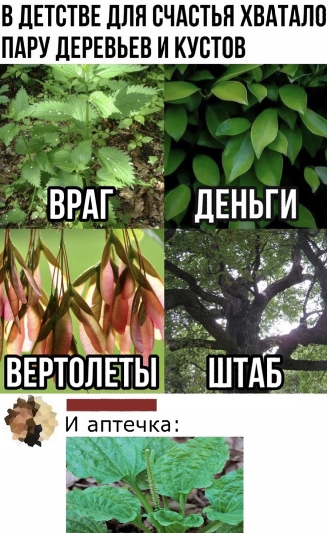 В ДЕТСТВЕ ДЛЯ СЧАСТЬЯ ХВАТАЛО ПАРУ дЕРЕВЬЕВ И КУВТПВ к _ ЁВРАГЁ д__Еньги Ь _ 315 14 ВЕРТОЛЕТЫ ШТАБ