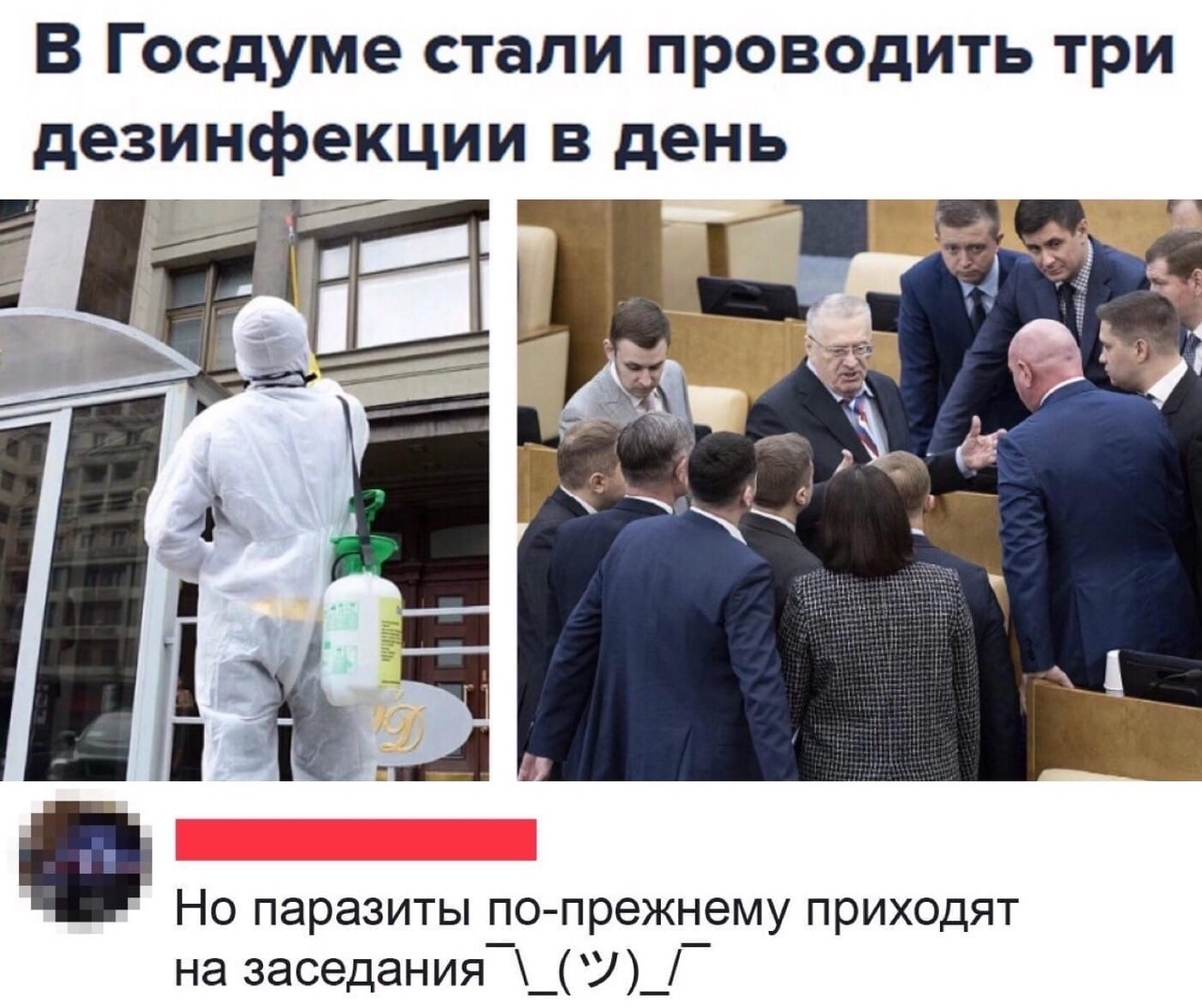 В Госдуме стали проводить три дезинфекции в день Но паразиты по прежнему приходят на заседания_У_