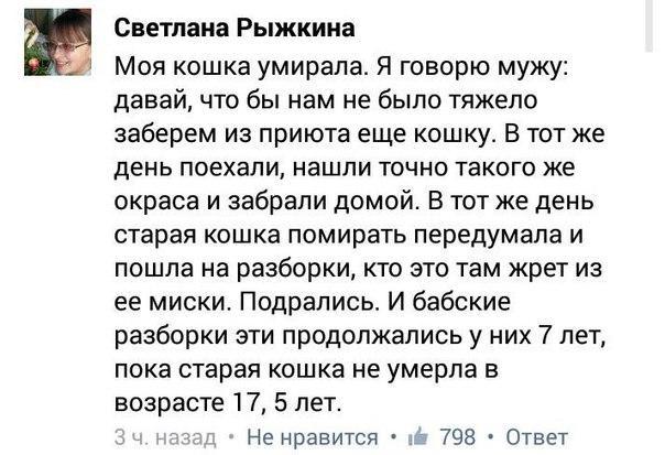 Светлана Рыжкина Моя кошка умирала Я говорю мужу давай что бы нам не было тяжело заберем из приюта еще кошку В тот же день поехали нашли точно такого же окраса и забрали домой В тот же день старая кошка помирать передумала и пошла на разборки кто это там жрет из ее миски Подрались И бабские разборки эти продолжались у них 7 лет пока старая кошка не умерла в возрасте 17 5 лет Не нравится 3 798 Отве