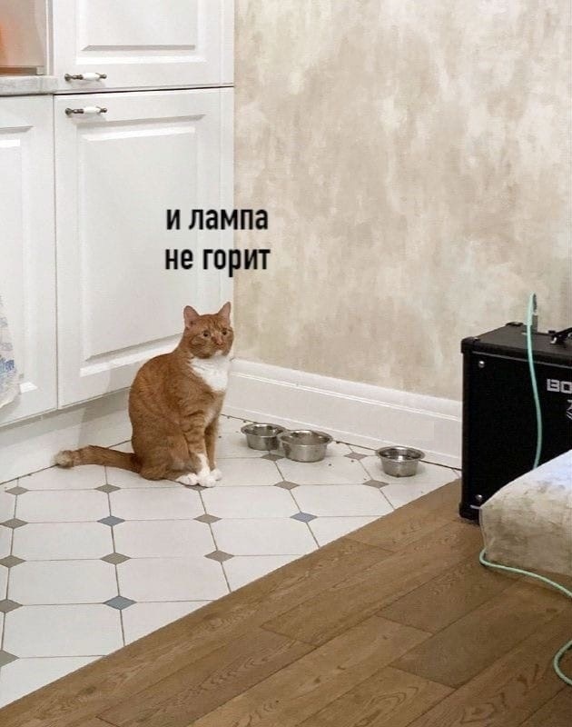 и лампа не горит