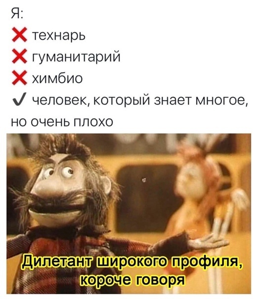 Я технарь гуманитарий химбио человек который знает многое но очень плохо