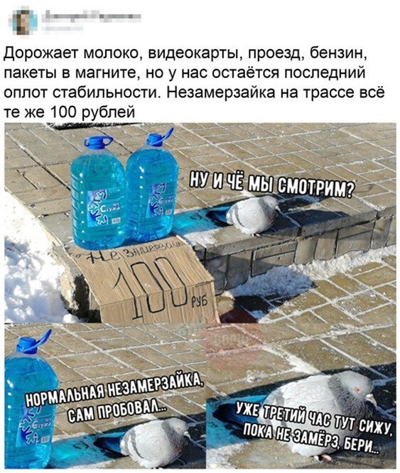 Дорожает молоко видеокарты проезд бензин пакеты в магните но у нас остаётся последний оплот стабильности Незамерзайка на трассе всё те же 100 рублей