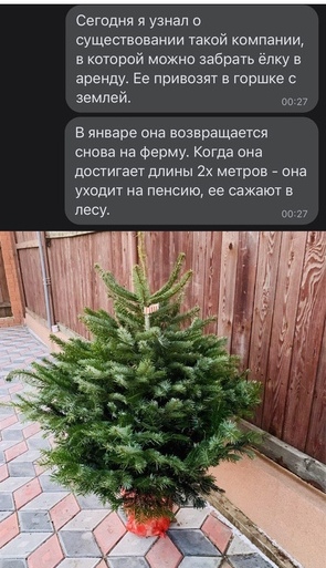 Сегодня я узнал о сушеспоннии шой компании торой можно забрать елку аренду Ее привозят в горшке землей в январе она возвращается сноп на Фепму кагда има дпсгигает длины 2х мегрпв она Уходит на пенсию ве сажают песу вп