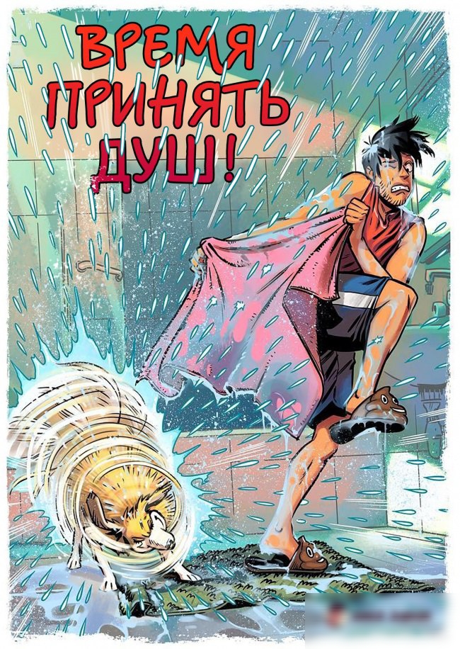 ц жд