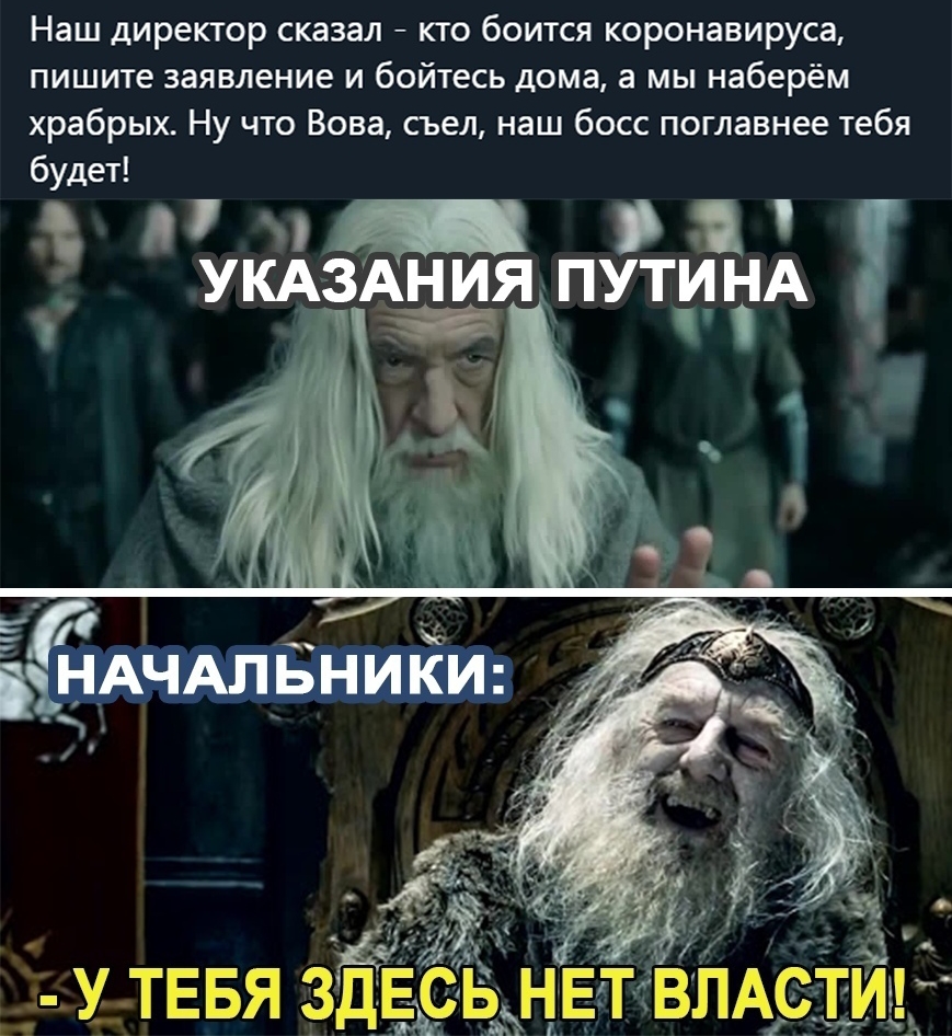 Наш директор сказал кто боится коронавируса пишите заявление и бойтесь дома  а мы наберём храбрых Ну что Вова съел наш босс поглавнее тебя будет _  УКАЗАН ИЯ ПУТИ ЧА штввя ЗЁЁ із