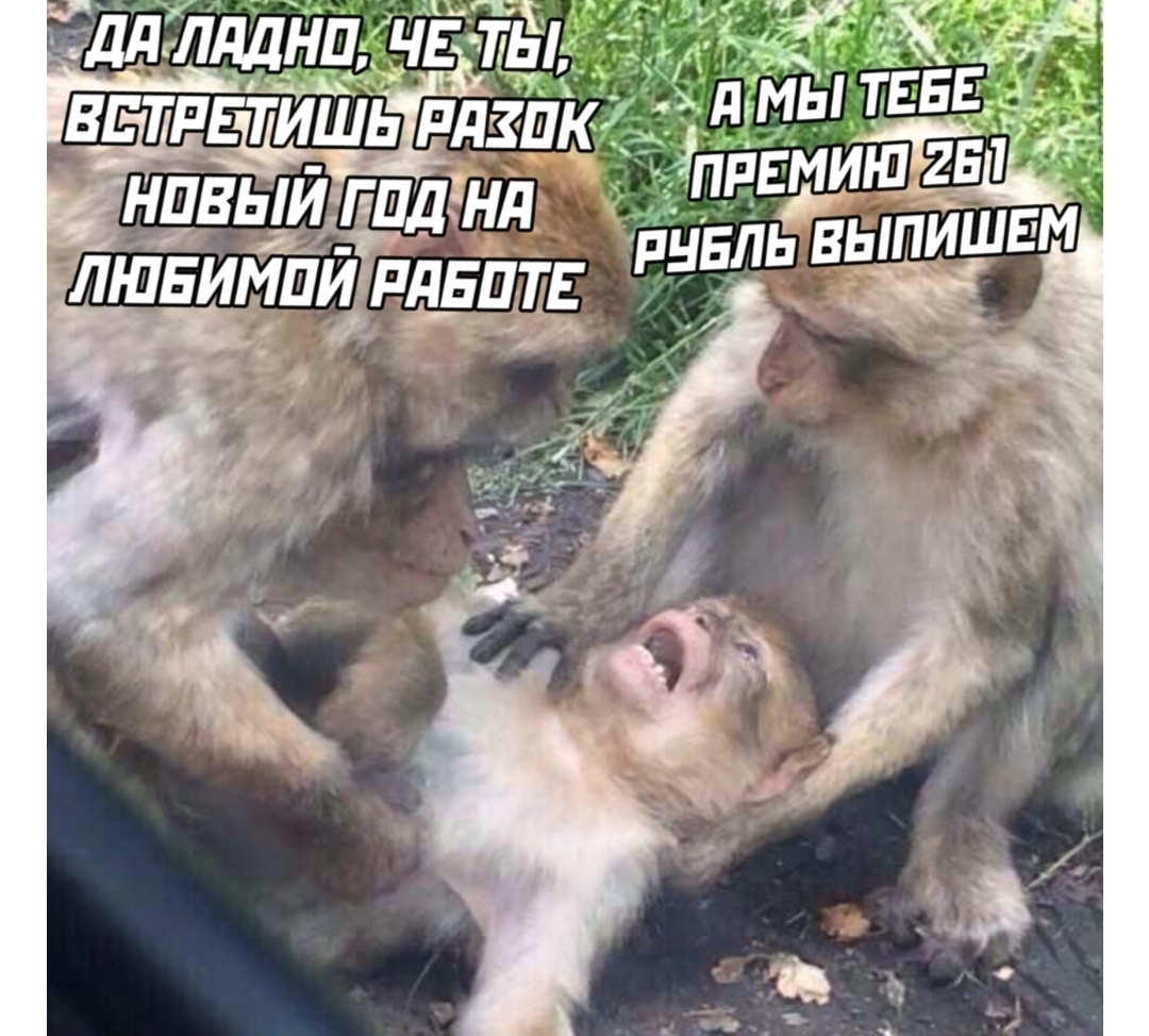 дд Лдднп тт да шь рдздкі ямы ТЕЁЕЪ тушит 253