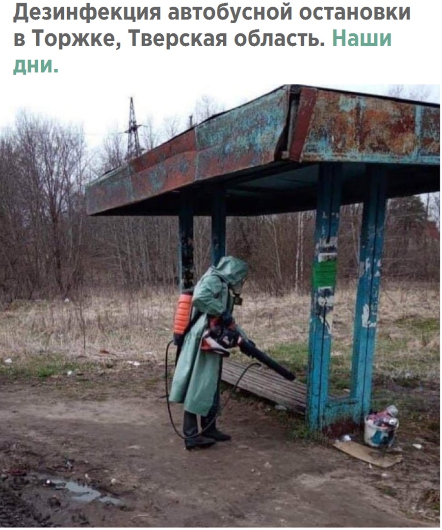 Дезинфекция автобусной ос в Торжке Тверская область