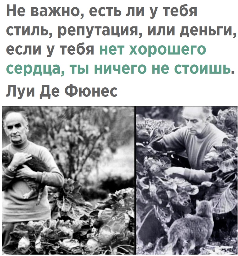 Не важно есть ли у тебя стиль репутация или деньги если у тебя нет хорошего сердца ты ничего не стоишь Луи де Фюнес