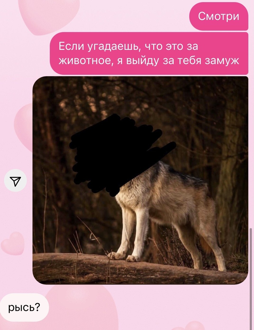 Если угадаешь что это за животное я выйду за тебя замуж